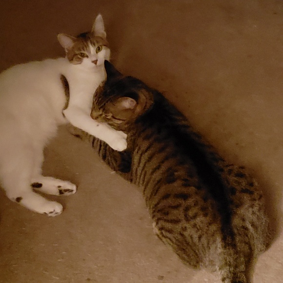 Meet your Posher, Wendie - Picture 6 of 8